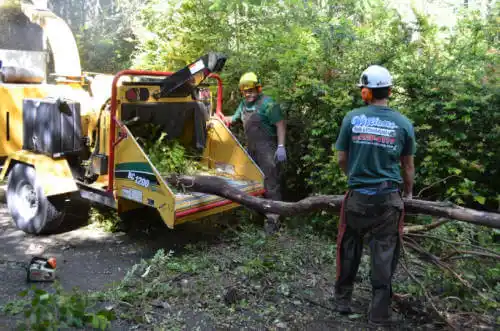 tree services Oceano